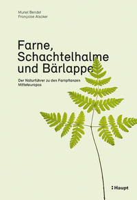 Farne, Schachtelhalme und Bärlappe