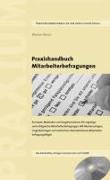 Praxishandbuch Mitarbeiterbefragungen