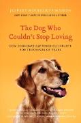 The Dog Who Couldn't Stop Loving