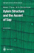 Xylem Structure and the Ascent of Sap