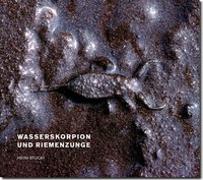 Wasserskorpion und Riemenzunge