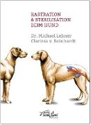 Kastration & Sterilisation beim Hund