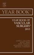 Year Book of Vascular Surgery 2013: Volume 2013