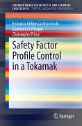 Safety Factor Profile Control in a Tokamak