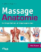 Massage-Anatomie