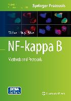 NF-kappa B