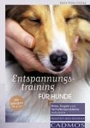 Entspannungstraining für Hunde