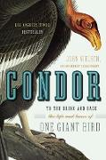 Condor