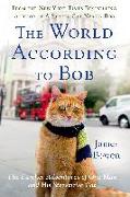 The World According to Bob