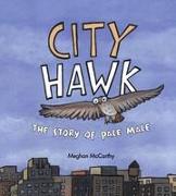 City Hawk