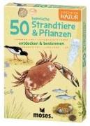 50 heimische Strandtiere & Pflanzen