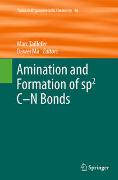 Amination and Formation of sp2 C-N Bonds