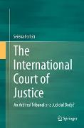 The International Court of Justice