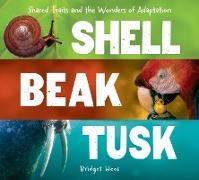 Shell, Beak, Tusk