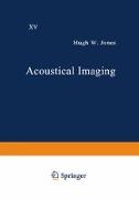 Acoustical Imaging