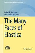 The Many Faces of Elastica