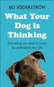 What Your Dog Is Thinking