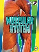 Muscular System