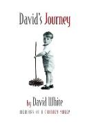 David's Journey: memoirs of a chimney sweep