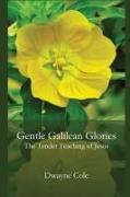 Gentle Galilean Glories