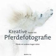 Kreative Pferdefotografie