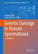 Genetic Damage in Human Spermatozoa