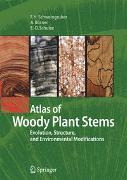 Atlas of Woody Plant Stems