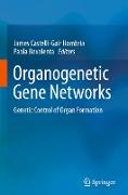 Organogenetic Gene Networks