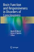 Brain Function and Responsiveness in Disorders of Consciousness