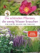 Die schönsten Pflanzen, die wenig Wasser brauchen für Garten, Balkon und Terrasse - 66 trockenheitsverträgliche Stauden, Sträucher, Gräser und Blumen, die heiße Sommer garantiert überleben