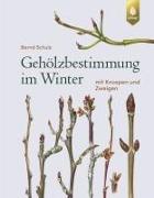 Gehölzbestimmung im Winter