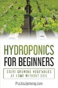 Hydroponics for Beginners