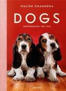 Walter Chandoha. Dogs. Photographs 1941–1991