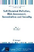 Soil Chemical Pollution, Risk Assessment, Remediation and Security