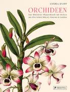 Orchideen