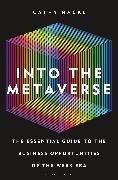 Into the Metaverse