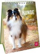 Hunde sind die besten Freunde