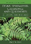 Ferns, Spikemosses, Clubmosses, and Quillworts of Eastern North America