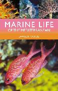 Marine Life of the Mediterranean