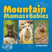 Mountain Mamas & Babies