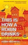 This Is How a Robin Drinks