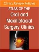 Botox and Fillers, An Issue of Atlas of the Oral & Maxillofacial Surgery Clinics: Volume 32-1