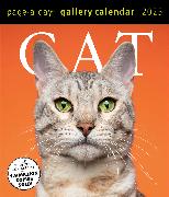 Cat Page-A-Day® Gallery Calendar 2025