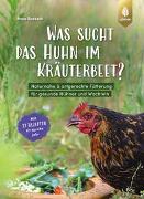 Was sucht das Huhn im Kräuterbeet?