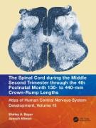 The Spinal Cord during the Middle Second Trimester through the 4th Postnatal Month 130- to 440-mm Crown-Rump Lengths