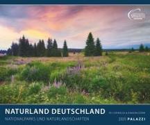 PALAZZI - Naturland Deutschland 2025 Wandkalender, 60x50cm, Posterkalender mit schönen Bildern aus Nationalsparks und Naturschutzgebieten, Felder, Wiesen und Wälder, internationales Kalendarium