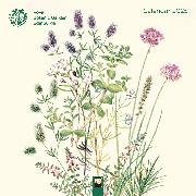 Royal Botanic Garden Edinburgh Wall Calendar 2025 (Art Calendar)