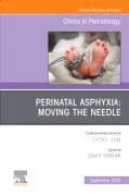 Perinatal Asphyxia: Moving the Needle, An Issue of Clinics in Perinatology: Volume 51-3