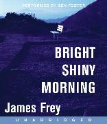 Bright Shiny Morning CD