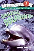 Amazing Dolphins!